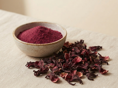 HIBISCUS DRINK PREMIX